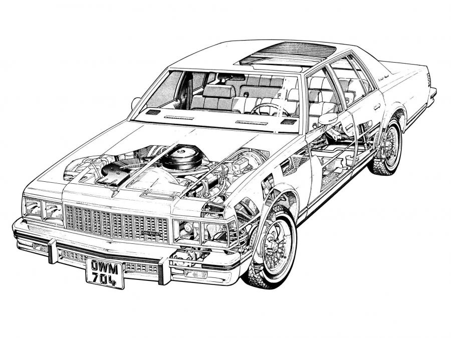  Chevrolet Caprice Classic 1979 года  (фото 2 из 2)